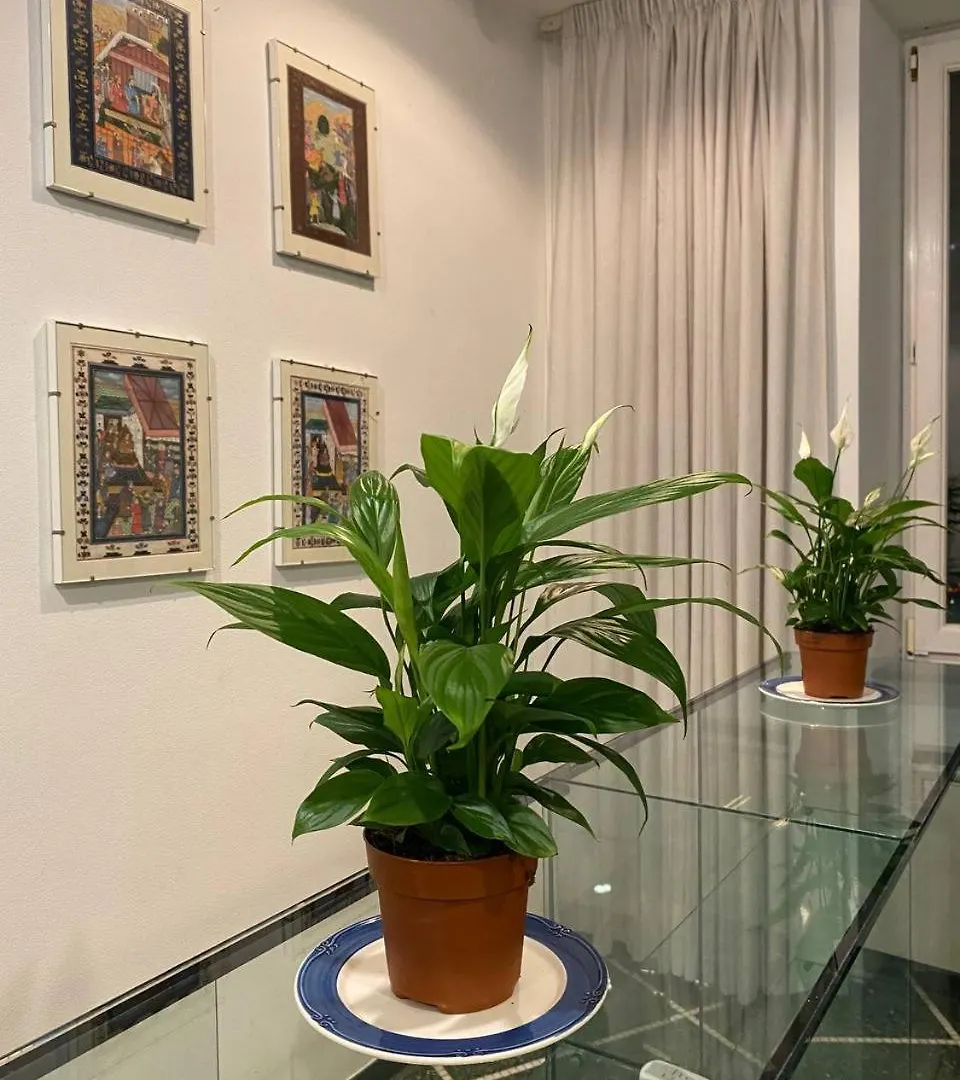 Guest house Martel Rooms - Genova Centro Brignole